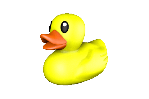 a gif of a rubber duck spinning